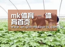 种植基地三