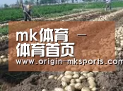种植基地七(图1)
