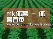 种植基地六
