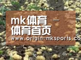 种植基地七