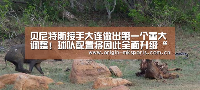 贝尼特斯接手大连做出第一个重大调整!球队配置将因此全面升级“mk体育平台”(图1) mk体育在线